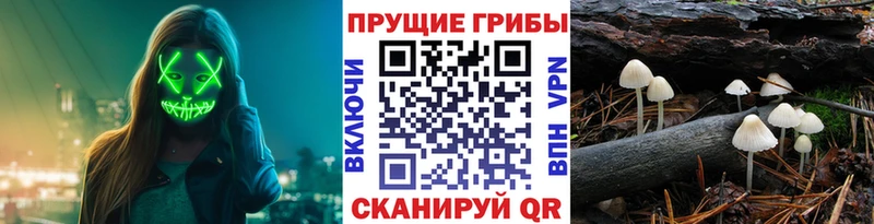 Псилоцибиновые грибы мицелий Заозёрск